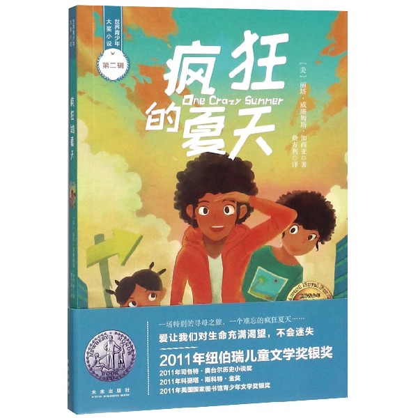 疯狂的夏天/世界青少年大奖小说