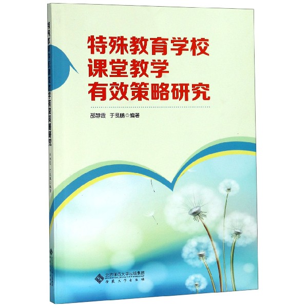 特殊教育学校课堂教学有效策略研究