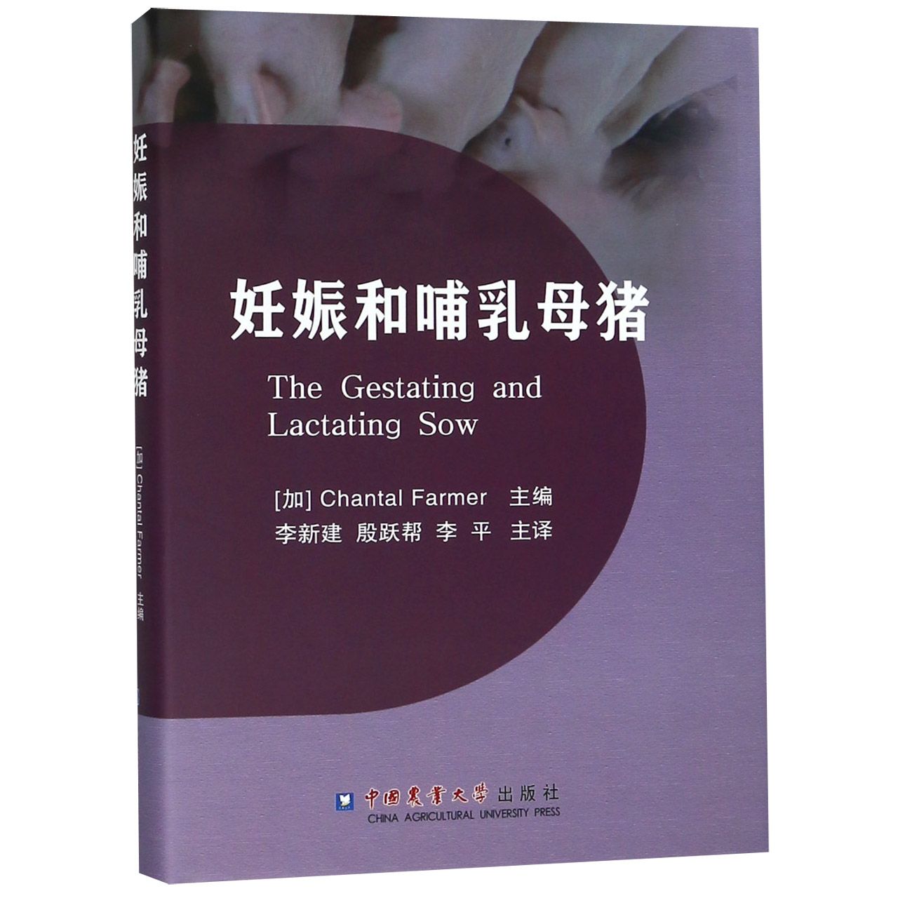 妊娠和哺乳母猪（精）