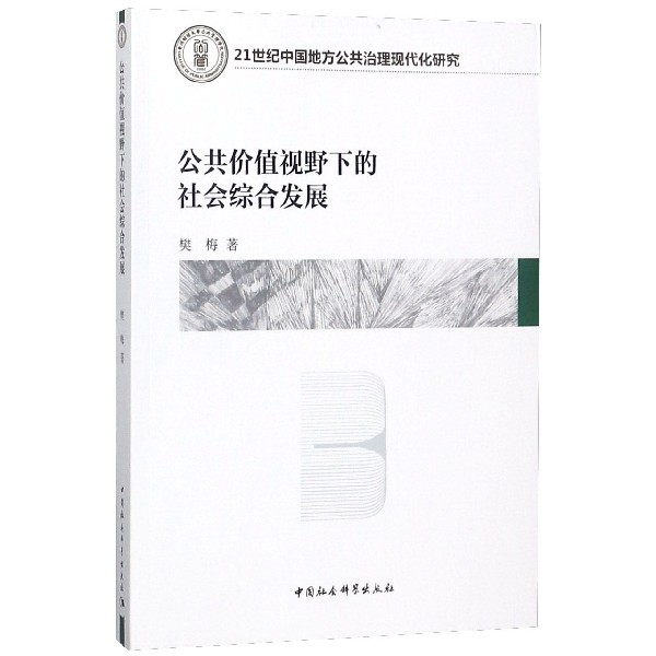 公共价值视野下的社会综合发展(21世纪中国地方公共治理现代化研究)