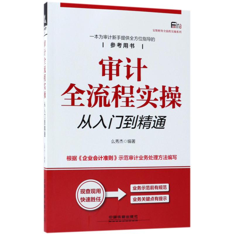 审计全流程实操从入门到精通/安斯财务全流程实操系列