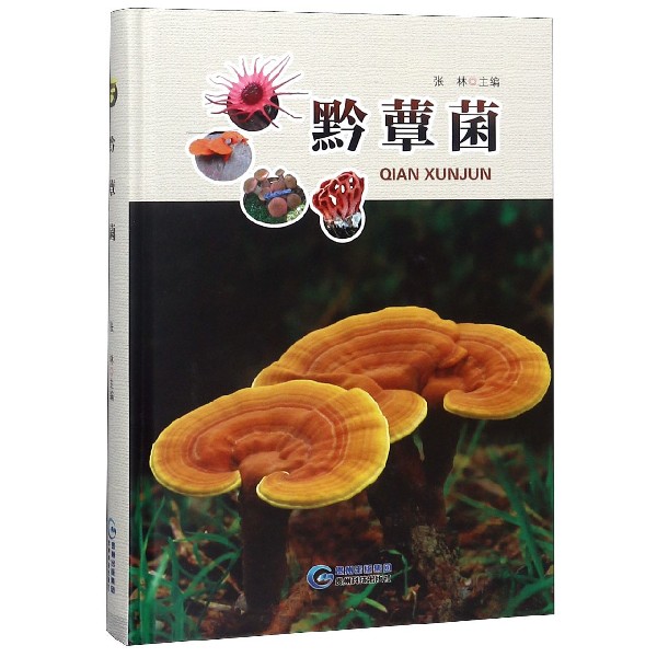 黔蕈菌(精)