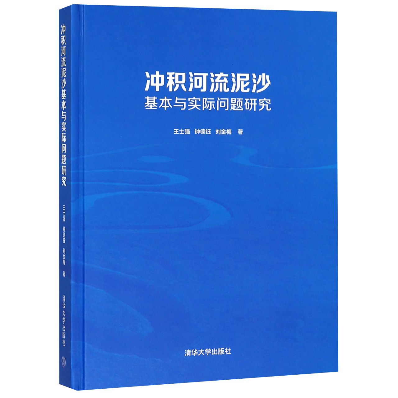 冲积河流泥沙基本与实际问题研究（精）