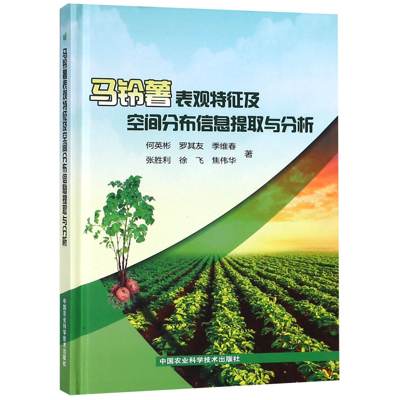 马铃薯表观特征及空间分布信息提取与分析（精）
