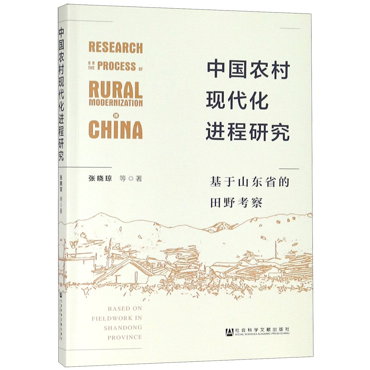 中国农村现代化进程研究（基于山东省的田野考察）