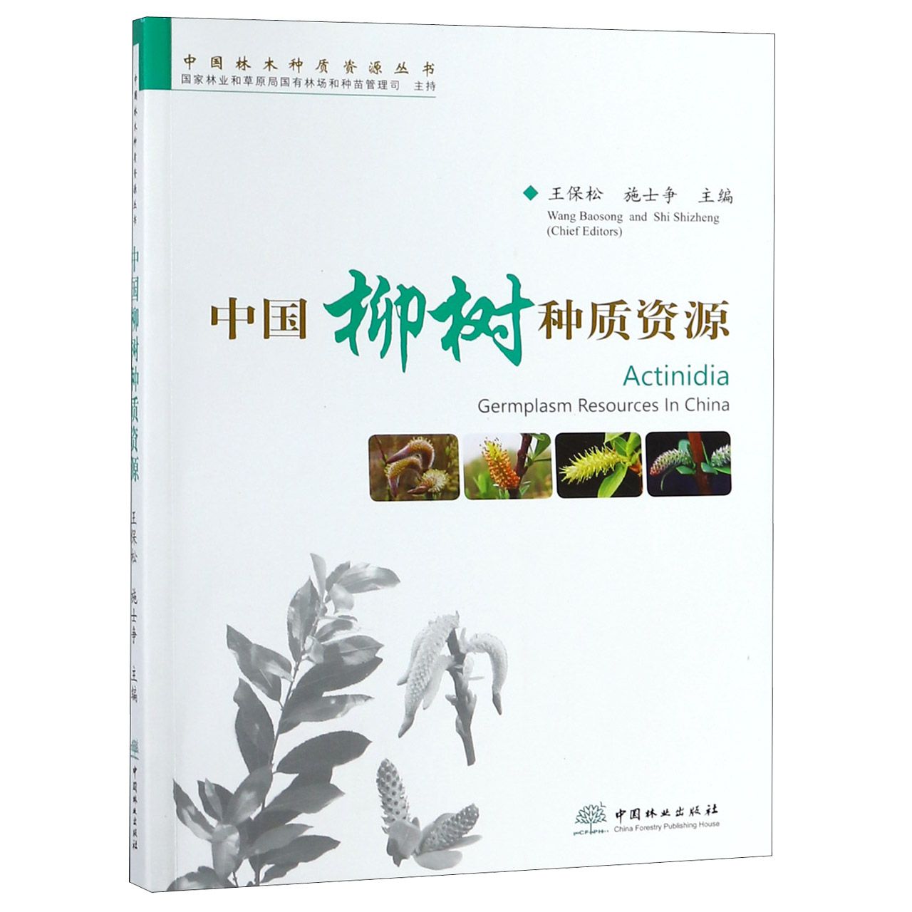 中国柳树种质资源/中国林木种质资源丛书