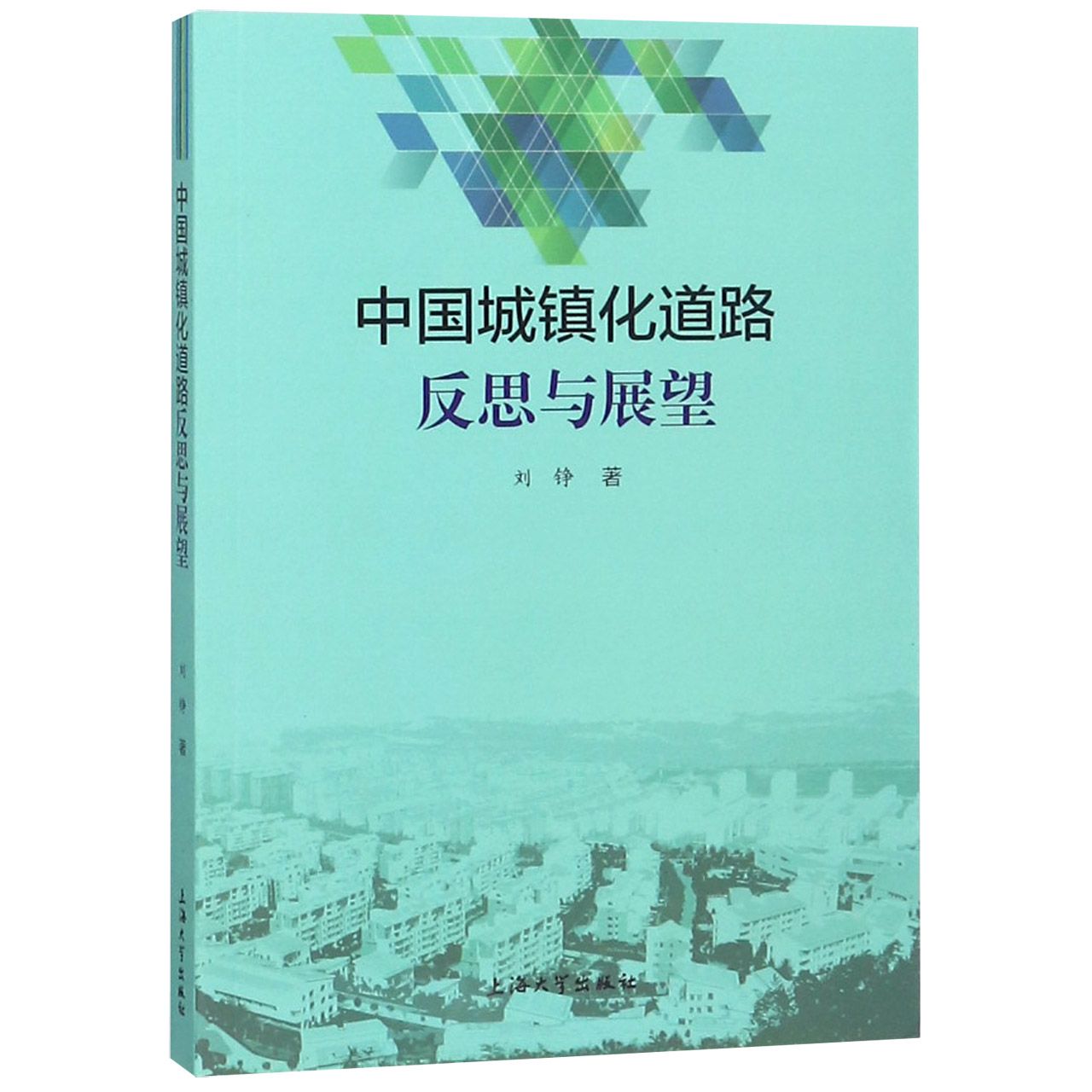 中国城镇化道路反思与展望