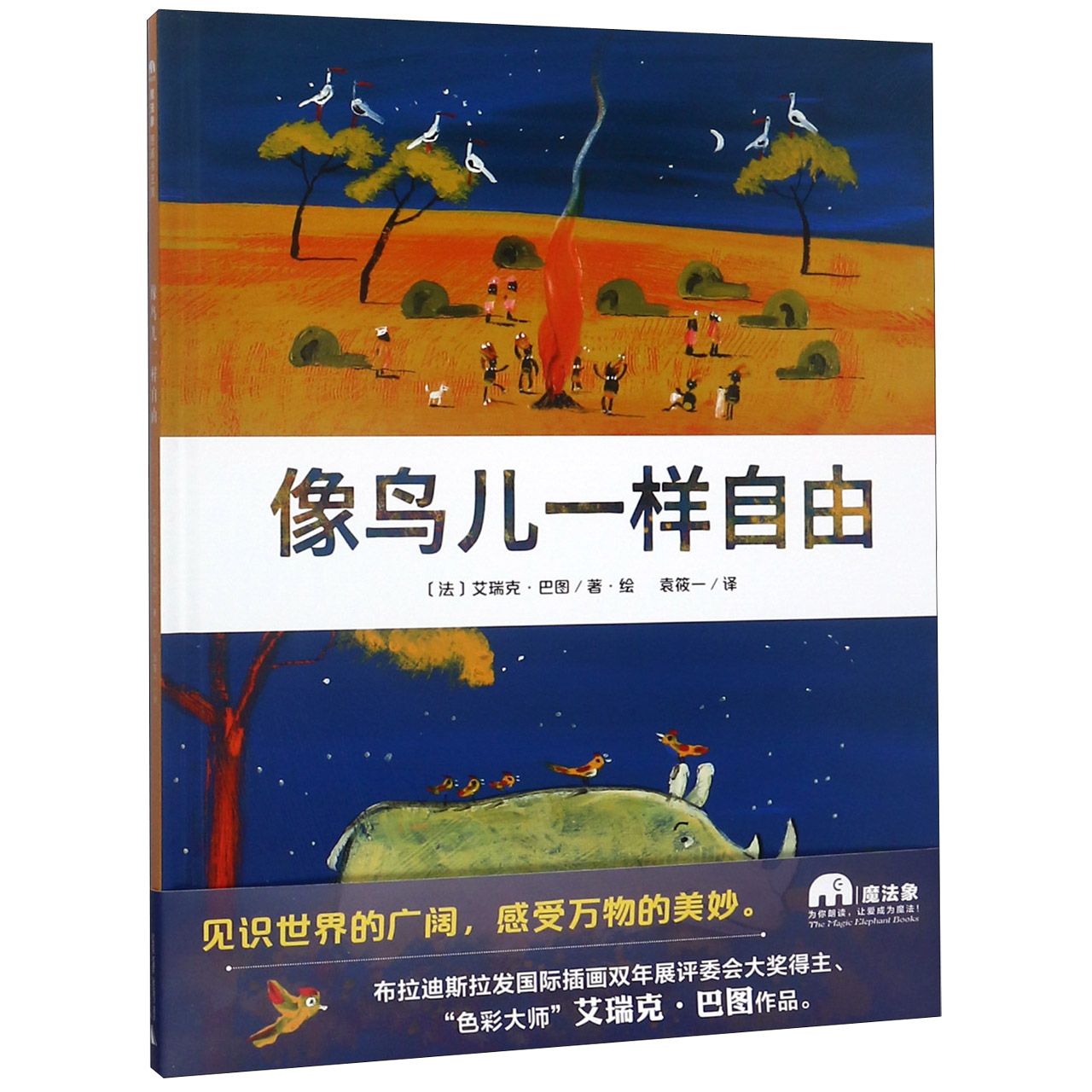 像鸟儿一样自由(精)