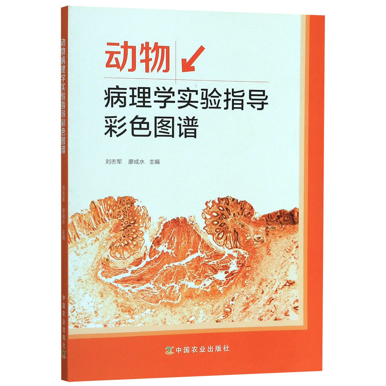动物病理学实验指导彩色图谱