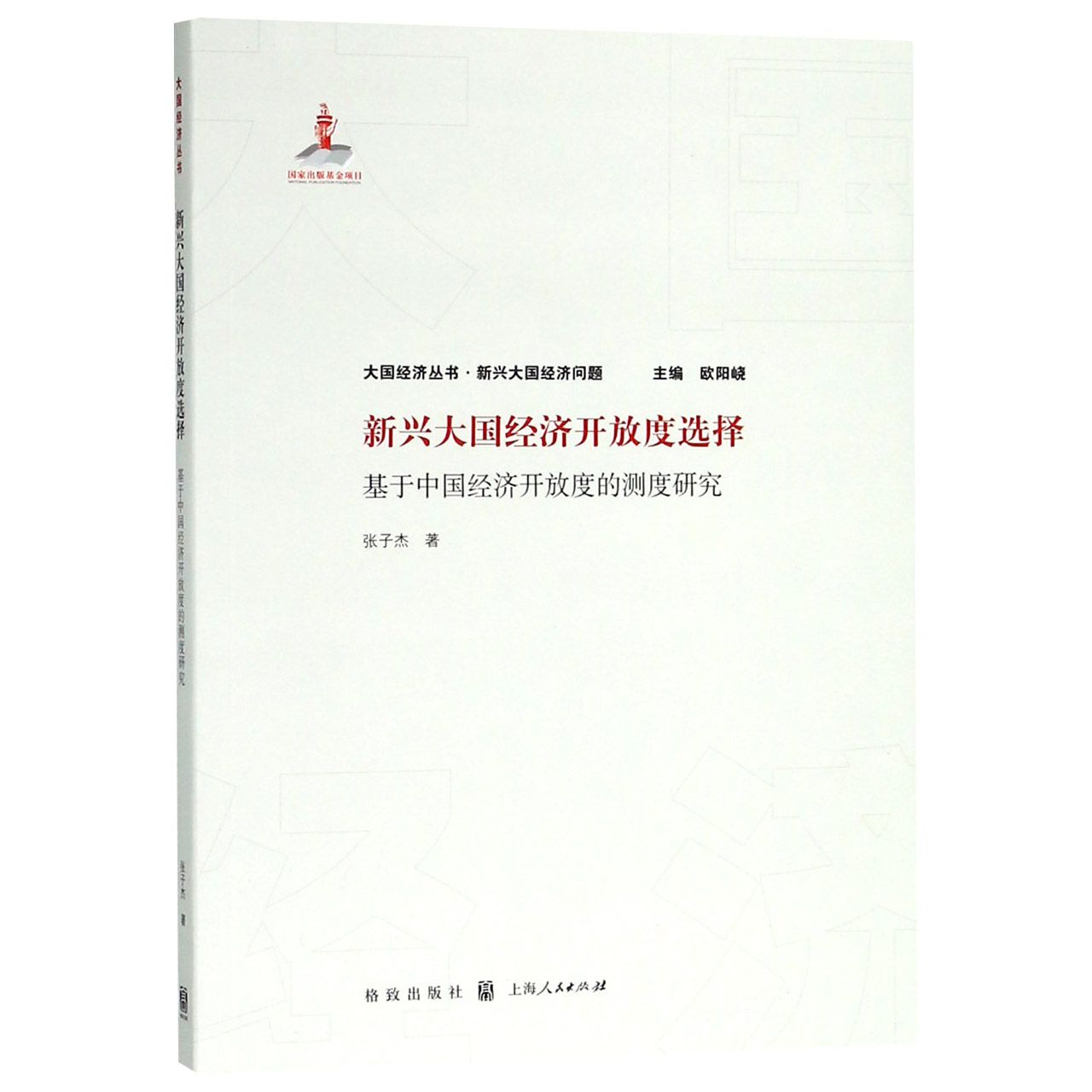 新兴大国经济开放度选择（基于中国经济开放度的测度研究）/大国经济丛书