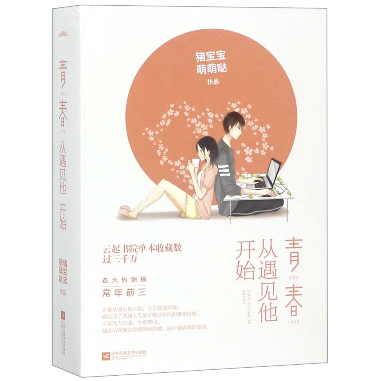 青春从遇见他开始(上下)