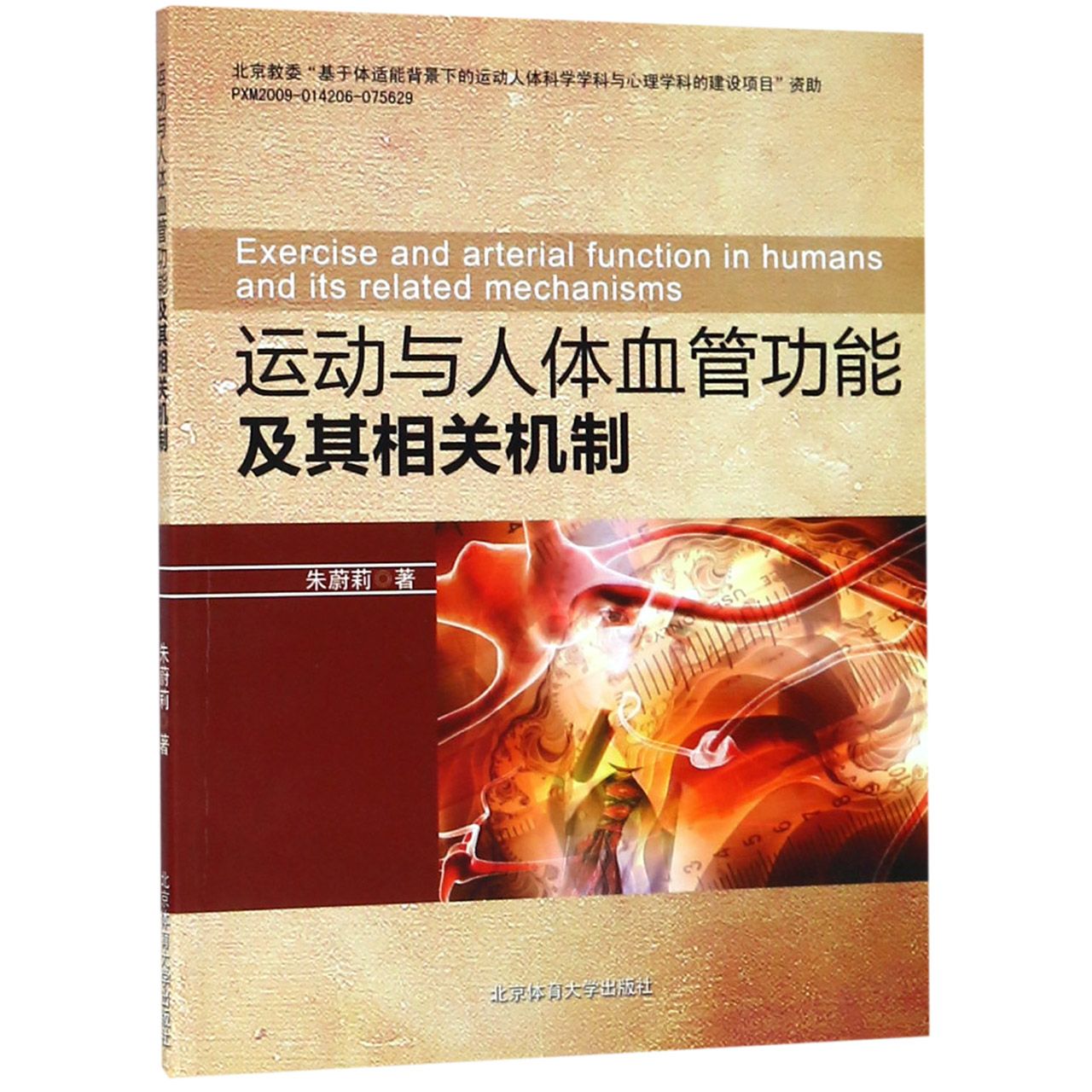 运动与人体血管功能及其相关机制