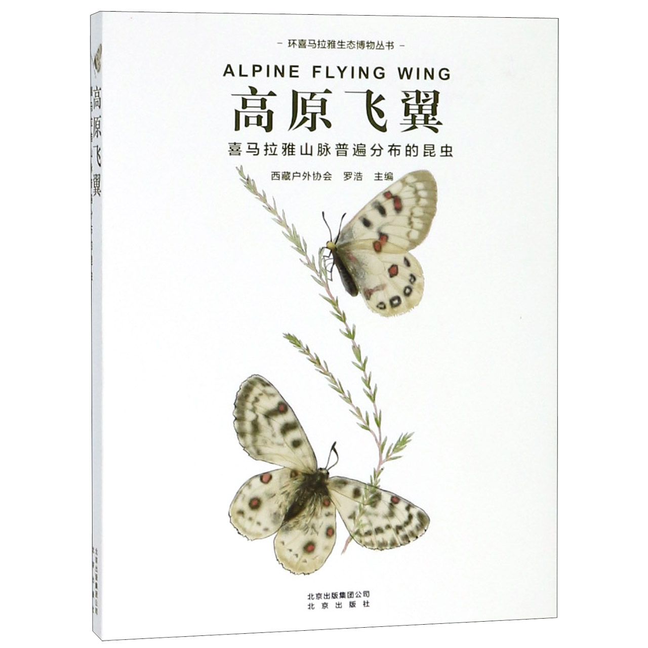 高原飞翼(喜马拉雅山脉普遍分布的昆虫)/环喜马拉雅生态博物丛书