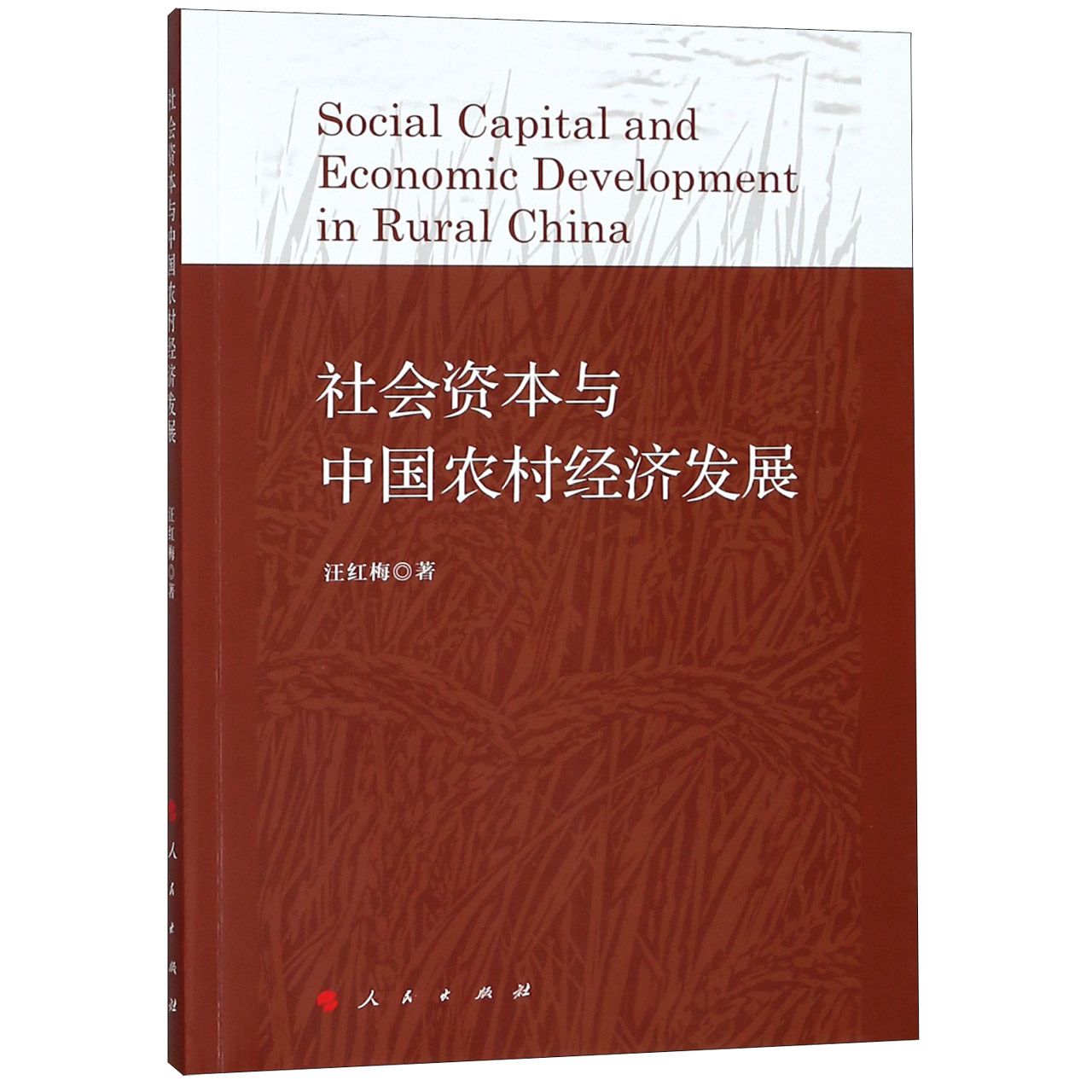 社会资本与中国农村经济发展
