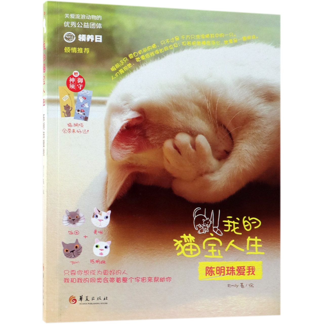 我的猫宝人生(陈明珠爱我)