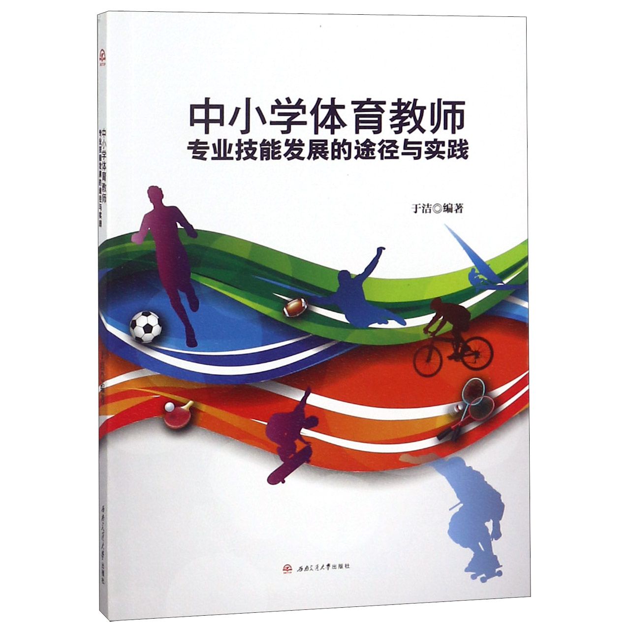 中小学体育教师专业技能发展的途径与实践