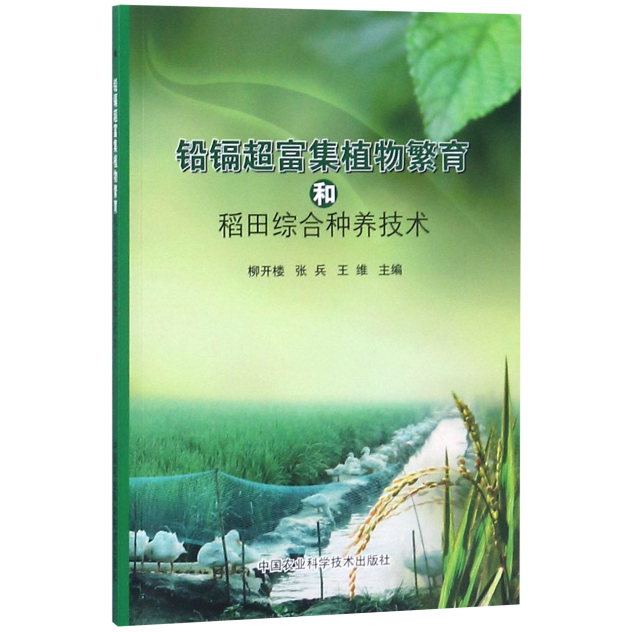 铅镉超富集植物繁育和稻田综合种养技术