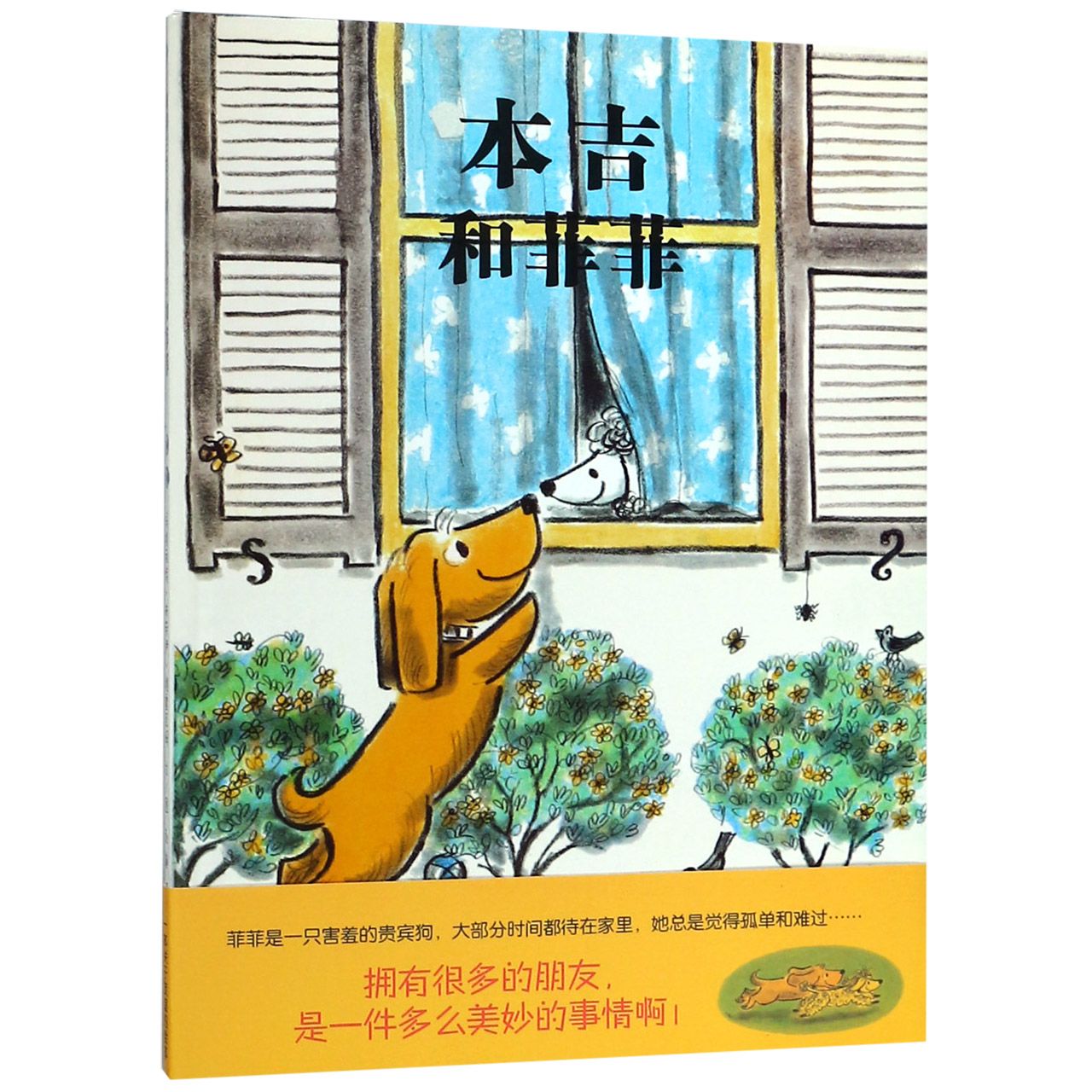 本吉和菲菲（精）