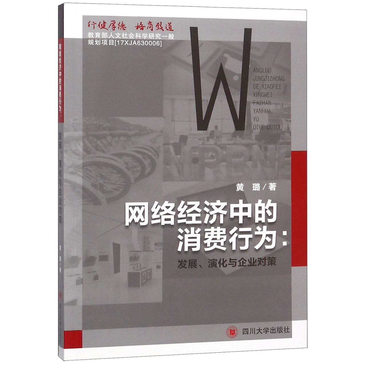 网络经济中的消费行为--发展演化与企业对策