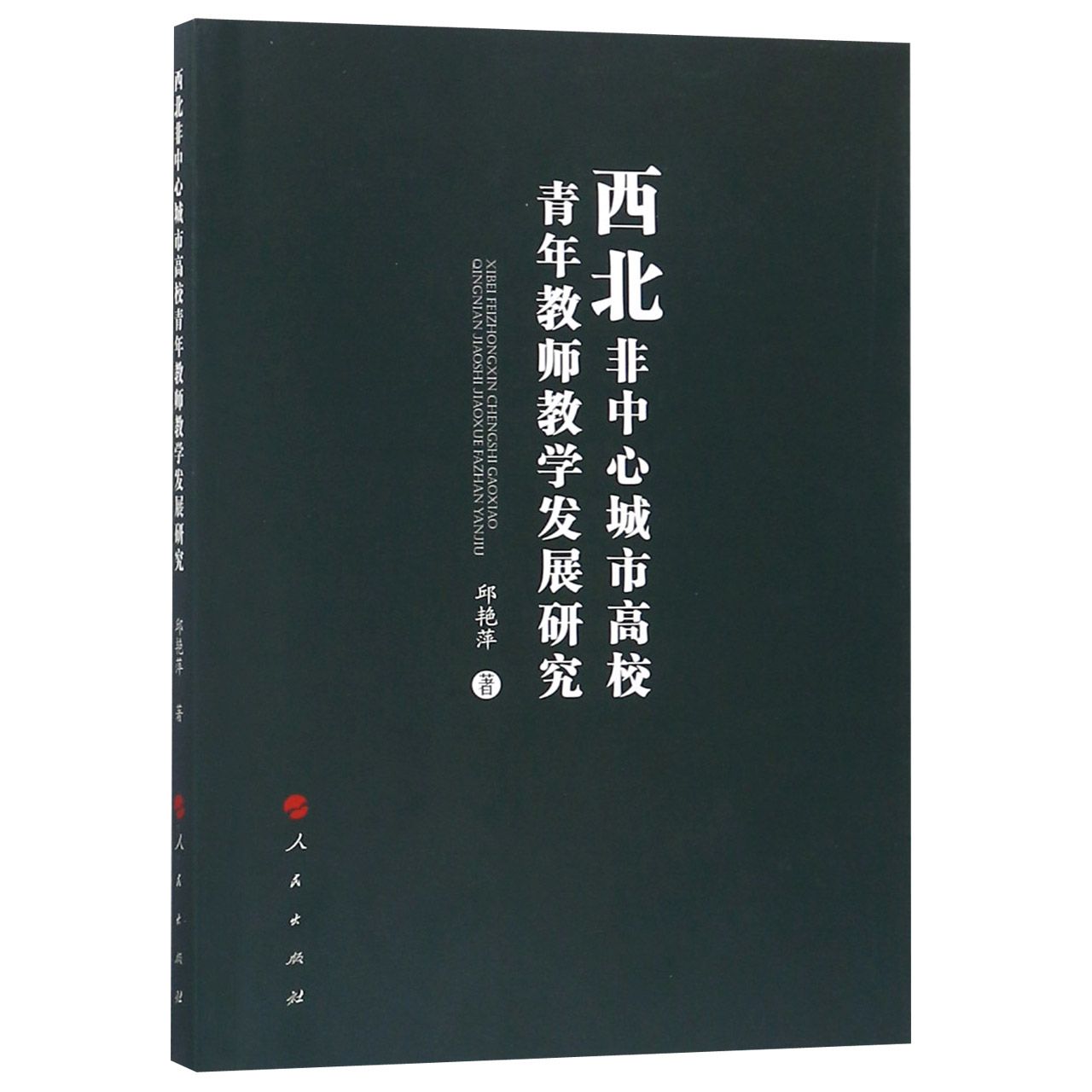 西北非中心城市高校青年教师教学发展研究