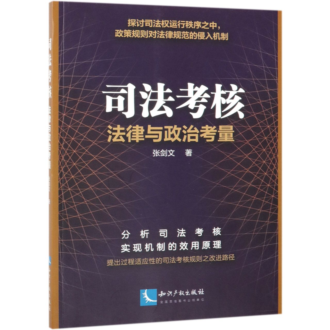 司法考核（法律与政治考量）