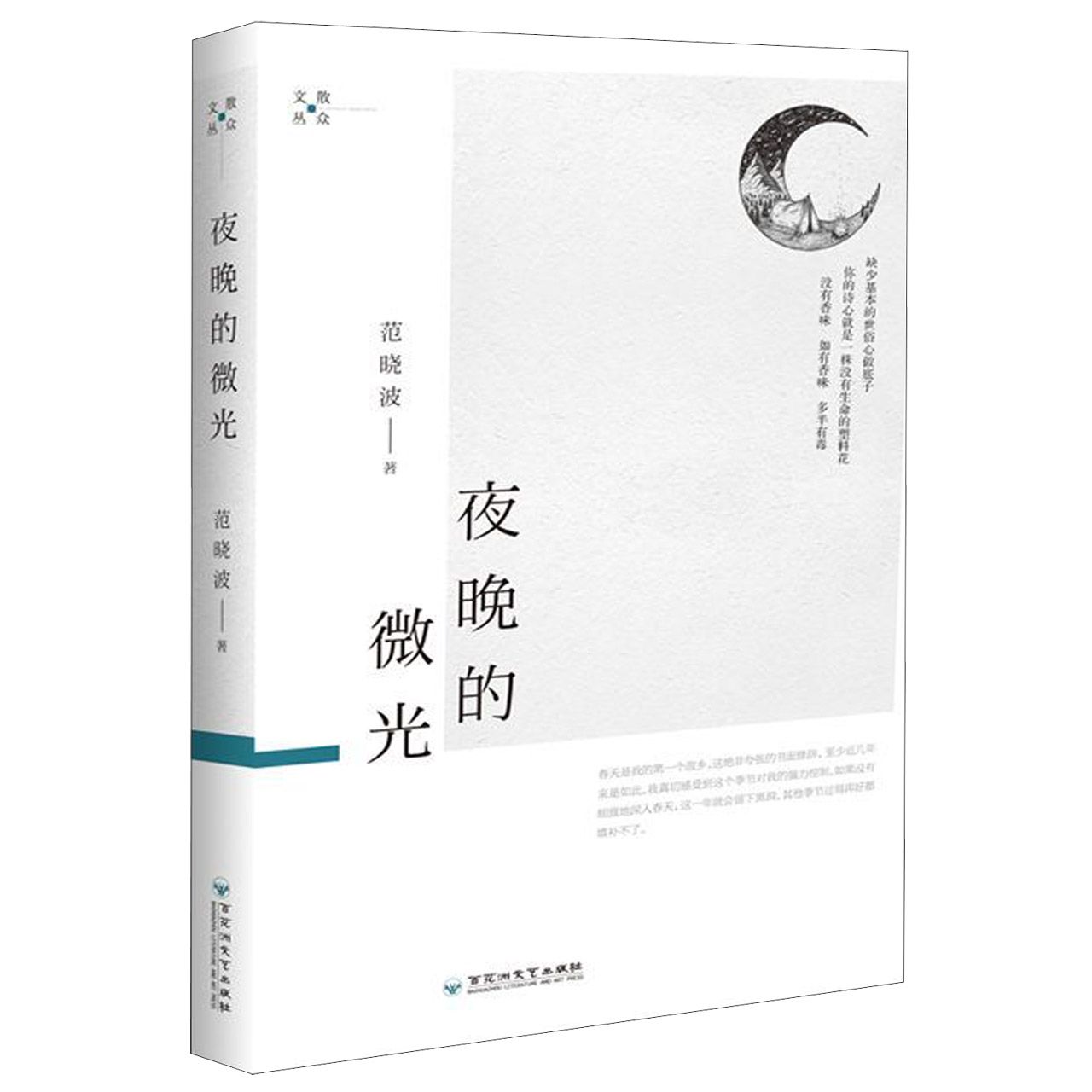 夜晚的微光