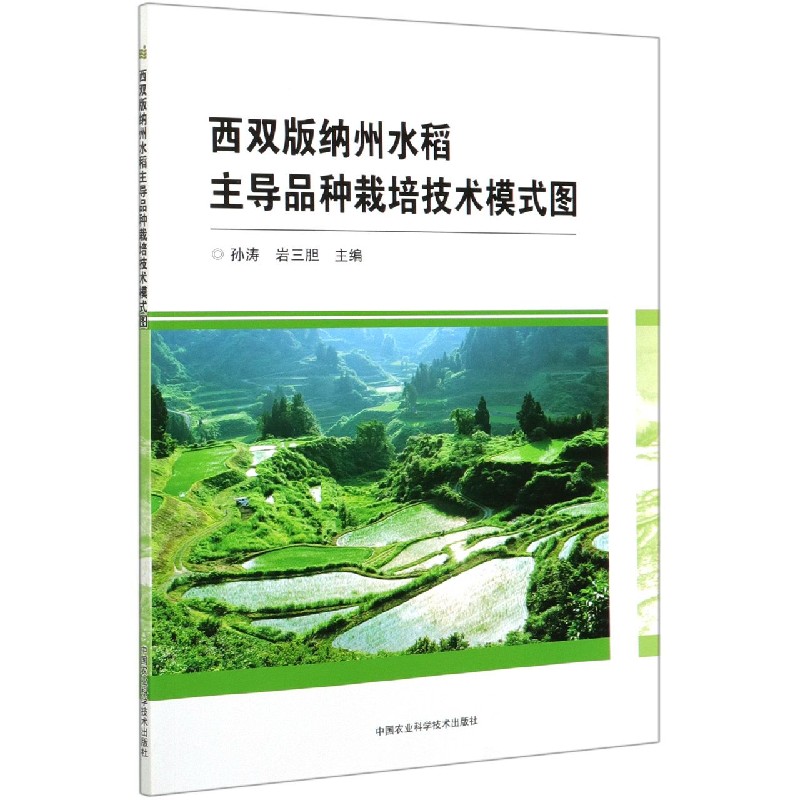 西双版纳州水稻主导品种栽培技术模式图