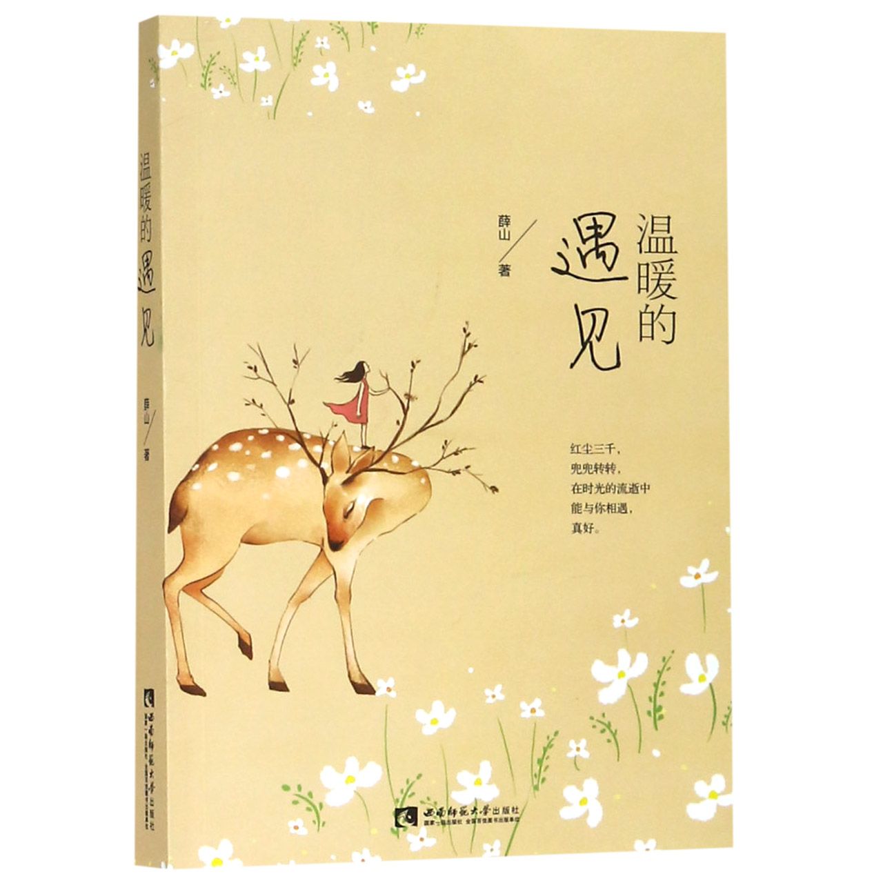 温暖的遇见