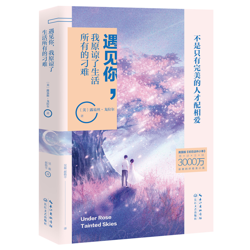 遇见你我原谅了生活所有的刁难
