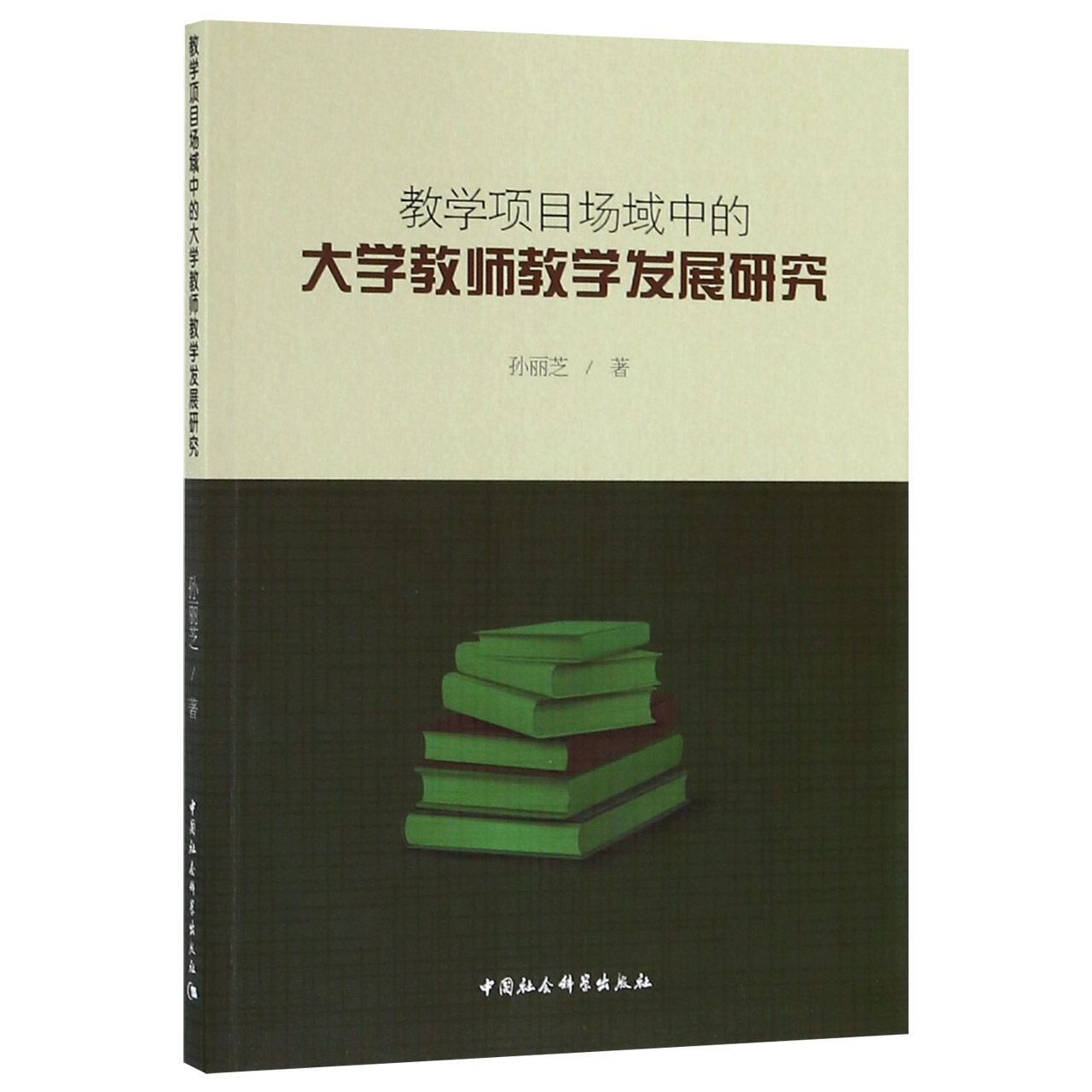 教学项目场域中的大学教师教学发展研究