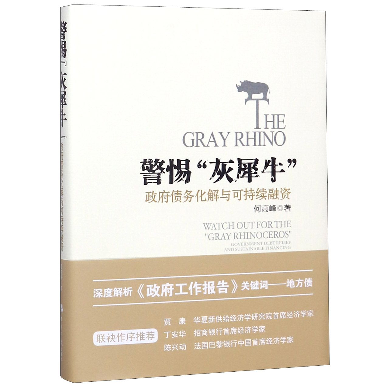 警惕灰犀牛（政府债务化解与可持续融资）（精）