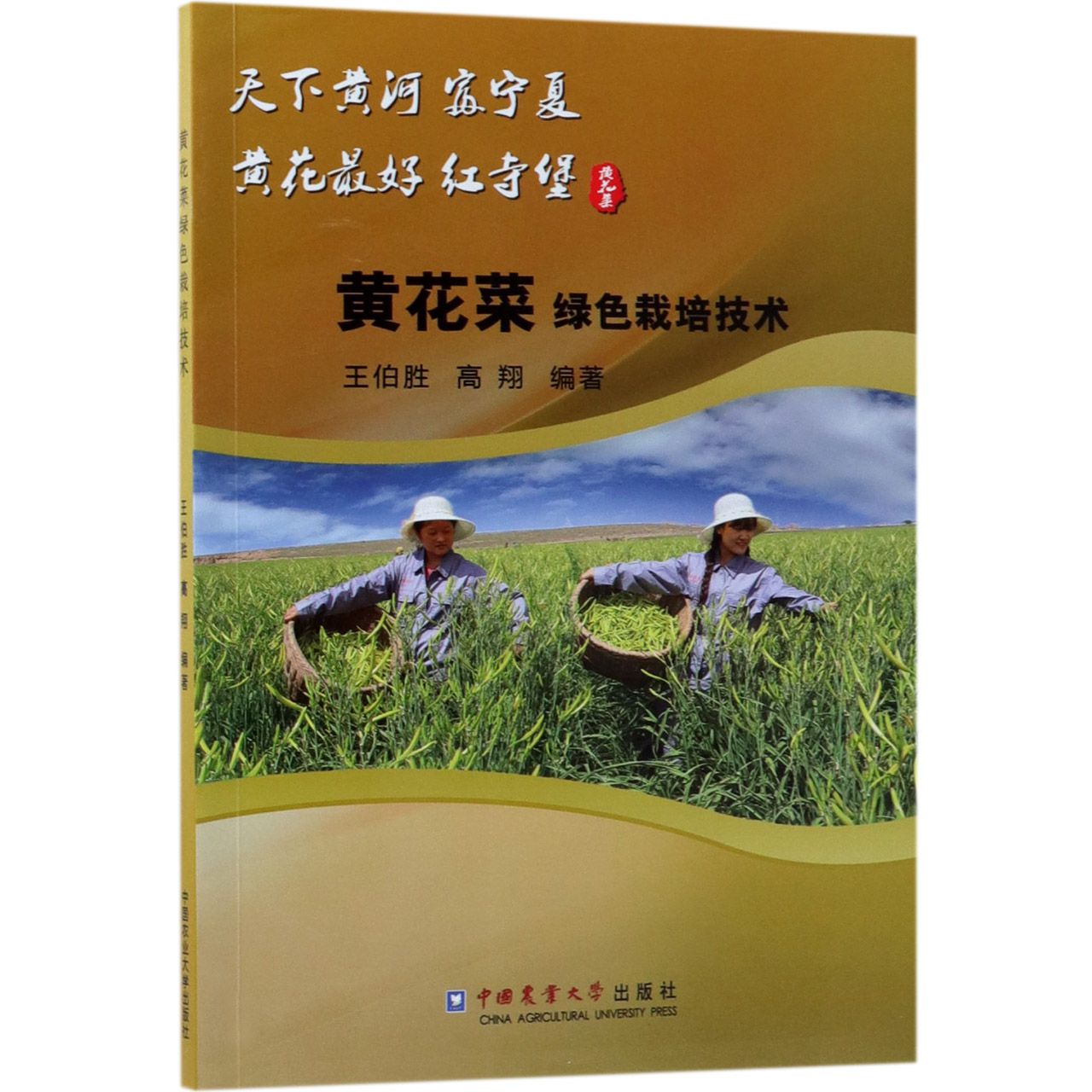 黄花菜绿色栽培技术
