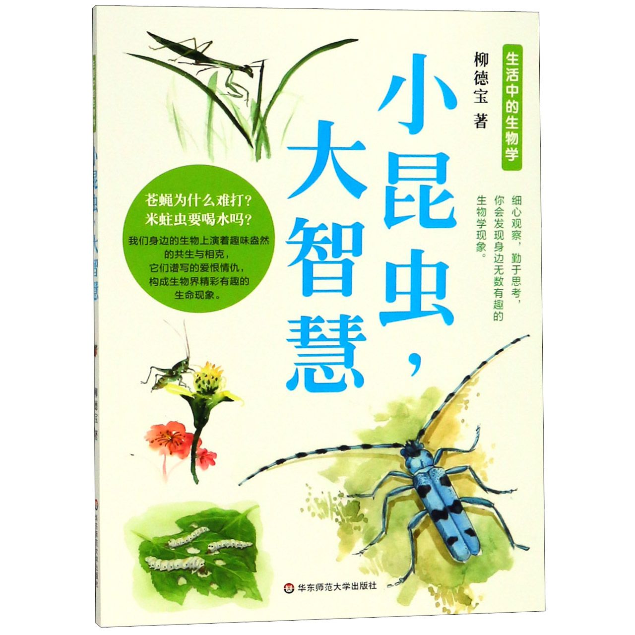 小昆虫大智慧/生活中的生物学