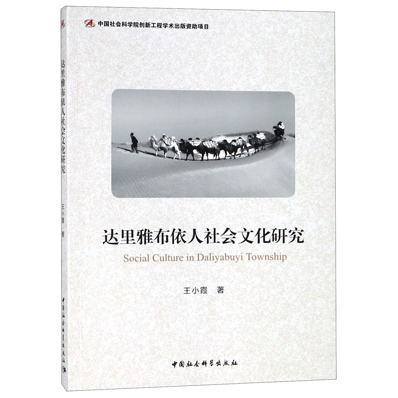 达里雅布依人社会文化研究