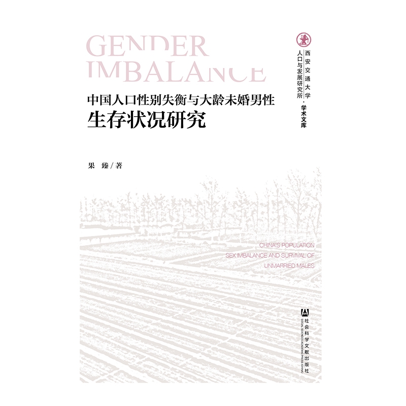 中国人口性别失衡与大龄未婚男性生存状况研究/西安交通大学人口与发展研究所学术文库