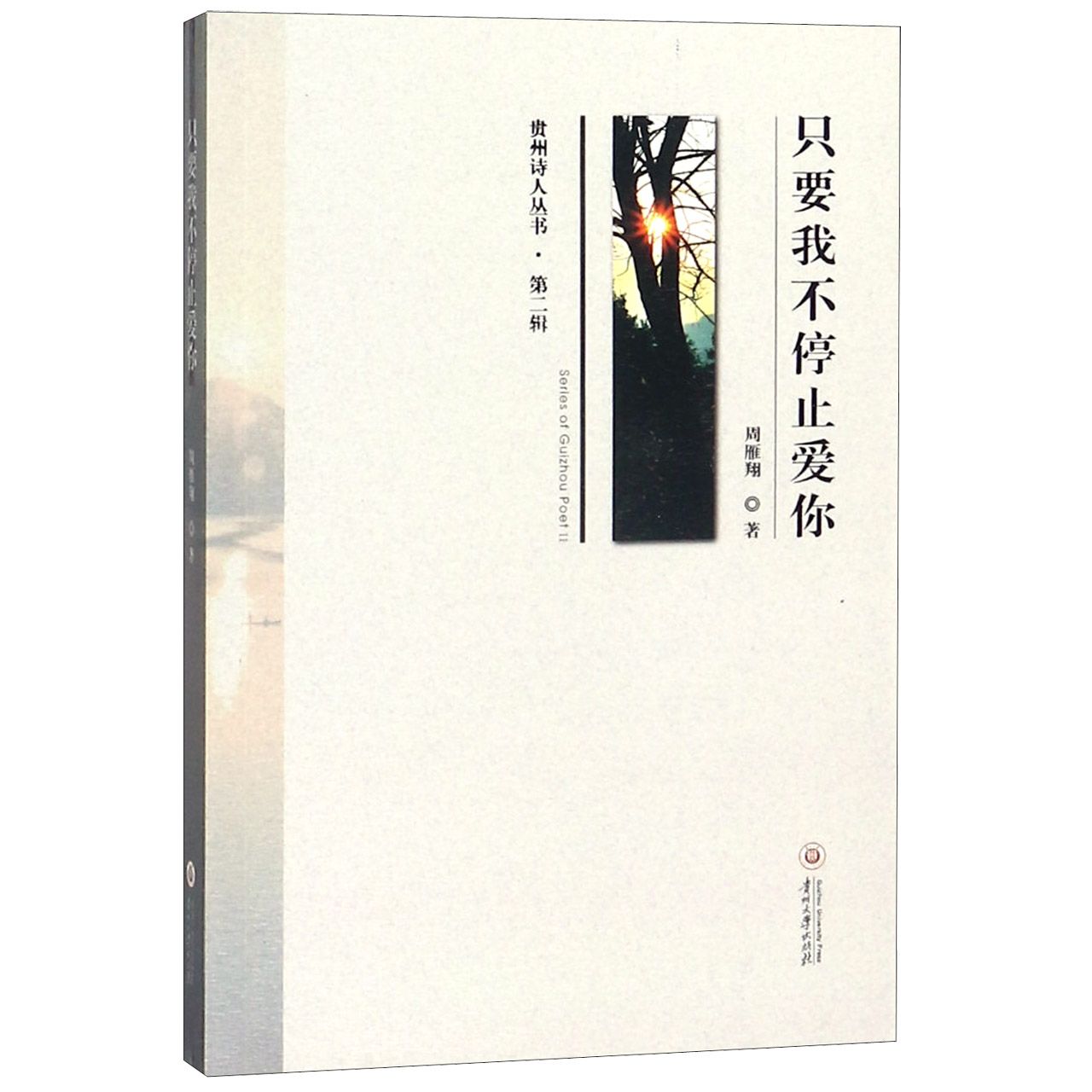只要我不停止爱你/贵州诗人丛书