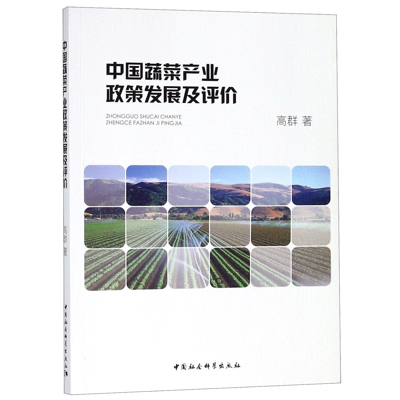 中国蔬菜产业政策发展及评价