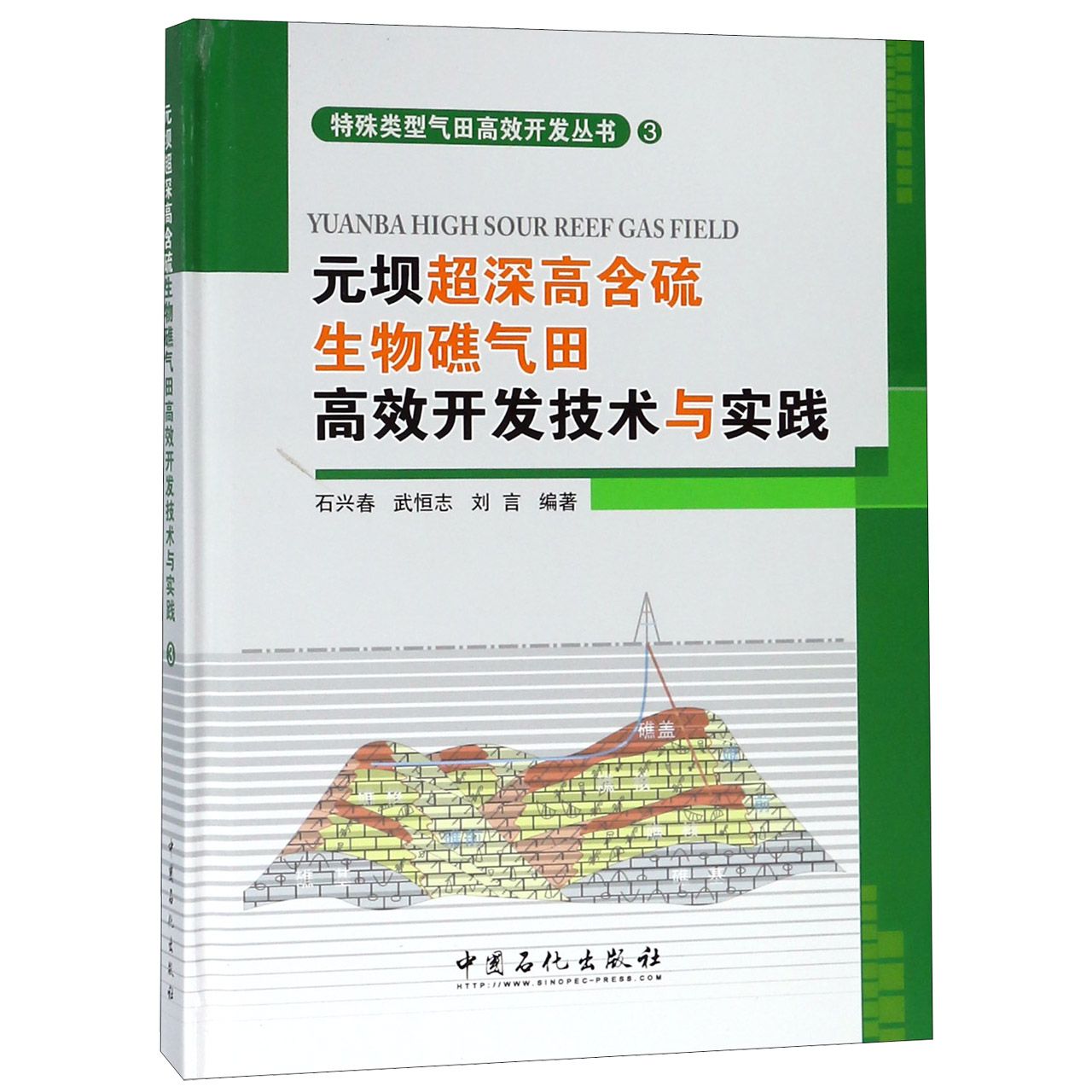 元坝超深高含硫生物礁气田高效开发技术与实践(精)/特殊类型气田高效开发丛书
