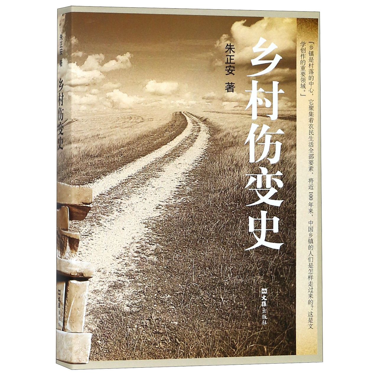 乡村伤变史