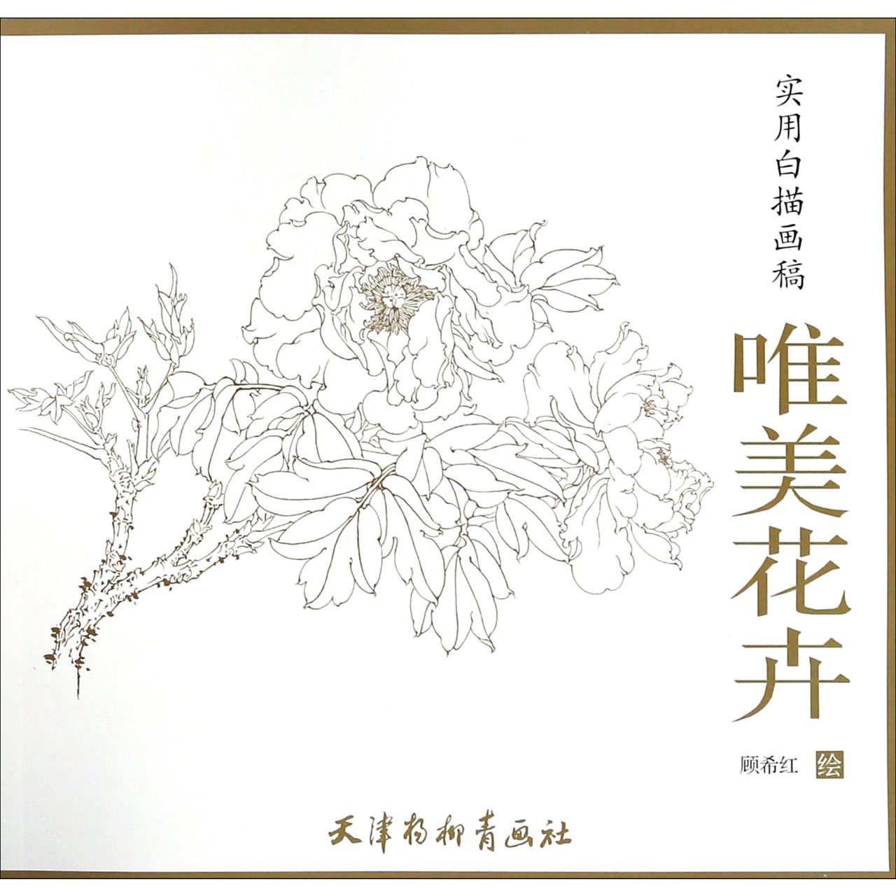 唯美花卉（实用白描画稿）
