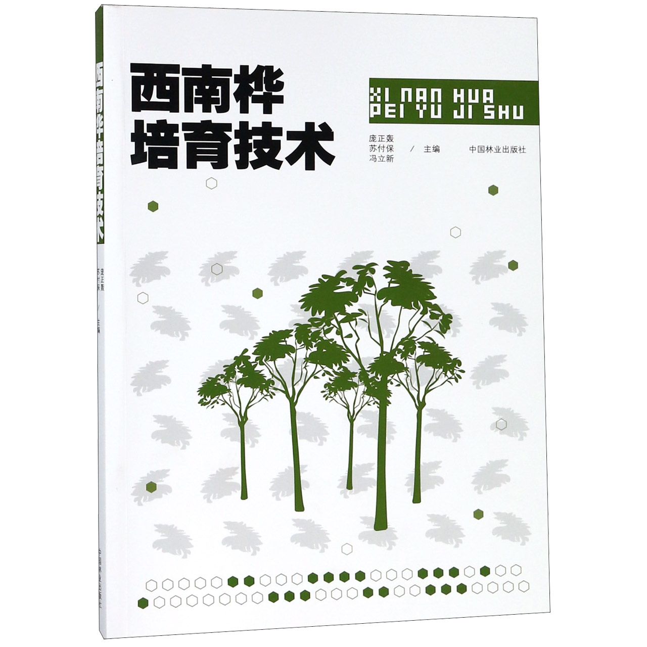 西南桦培育技术