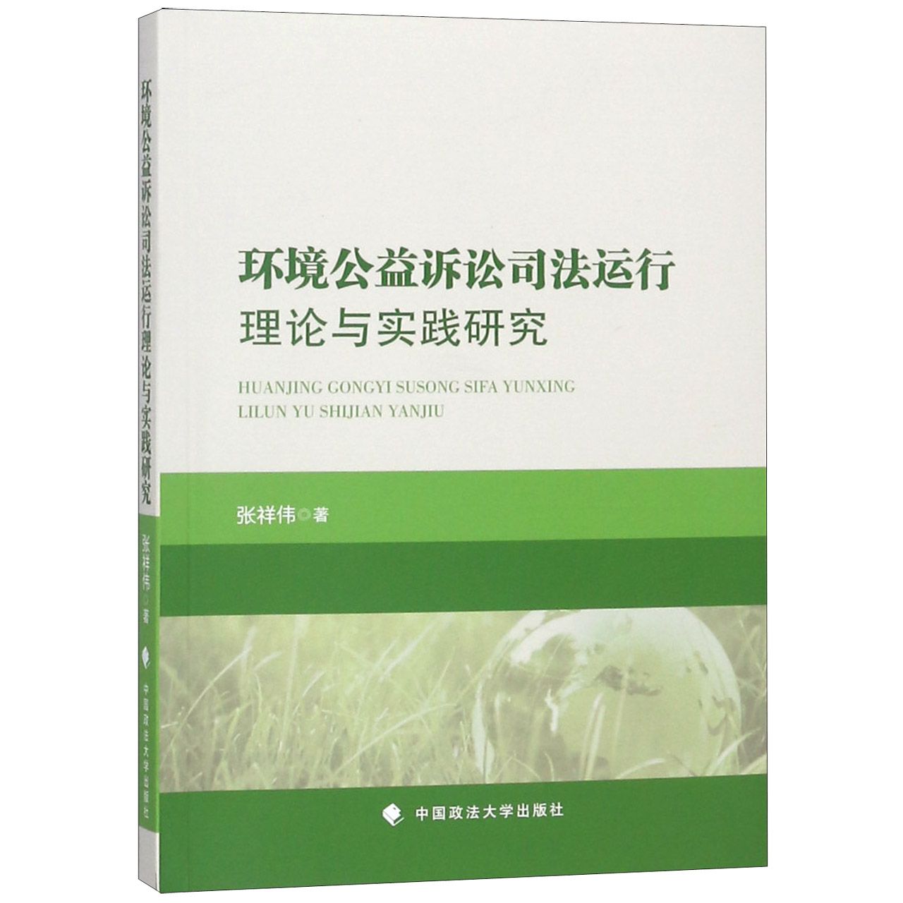 环境公益诉讼司法运行理论与实践研究