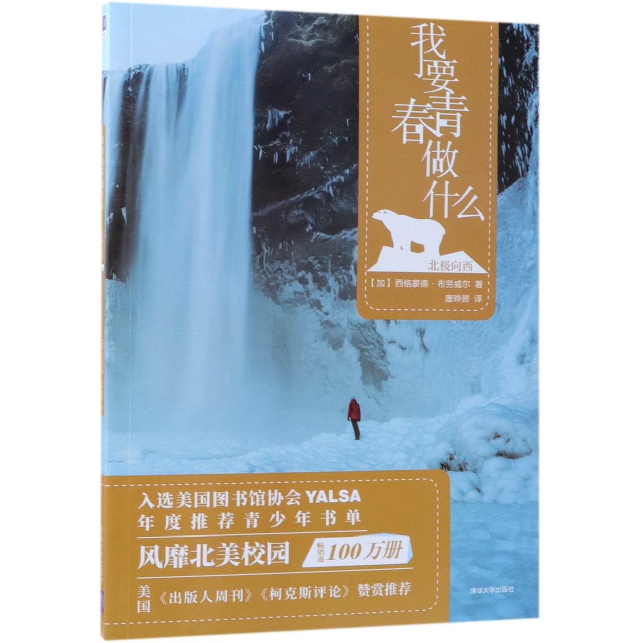 我要青春做什么(北极向西)