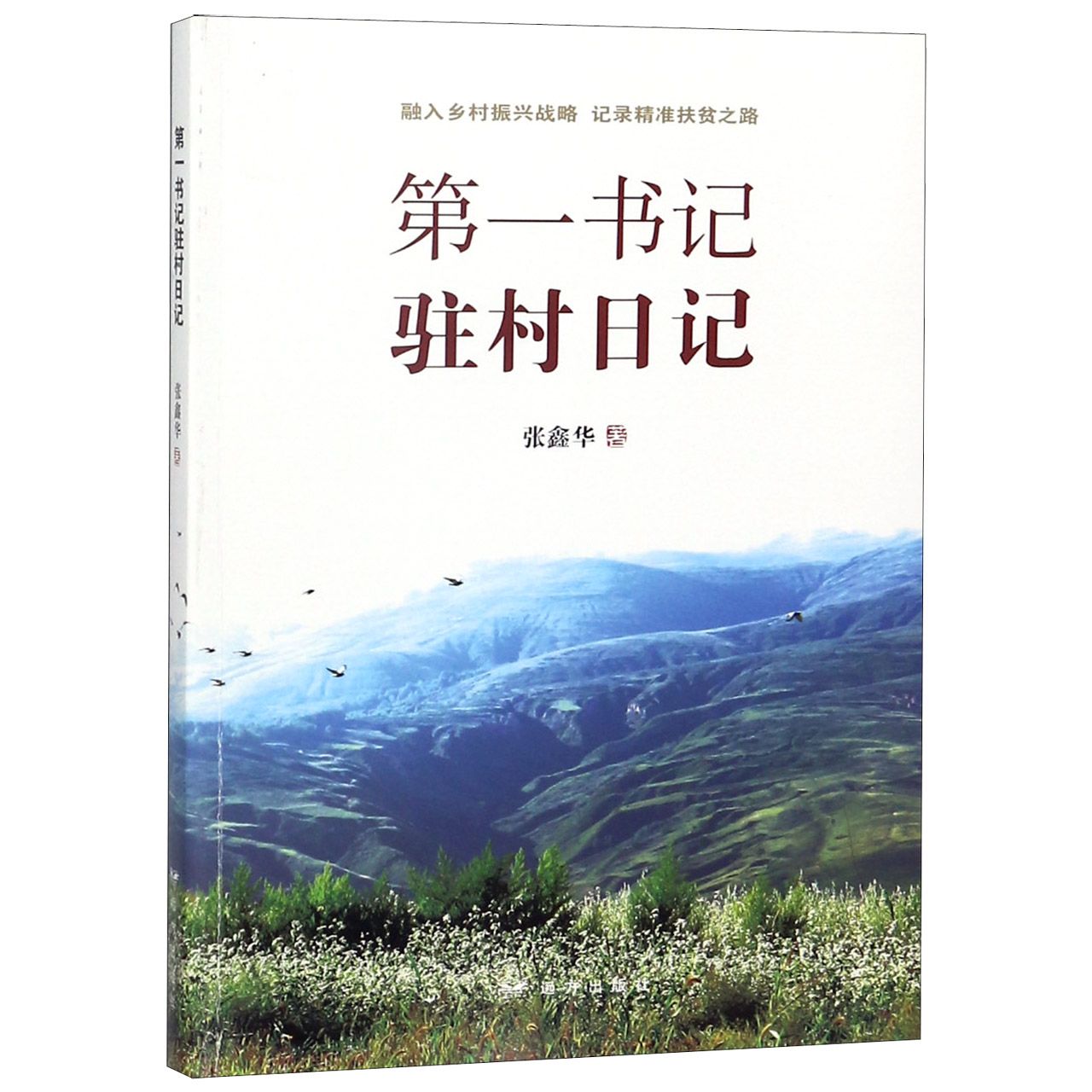 第一书记驻村日记