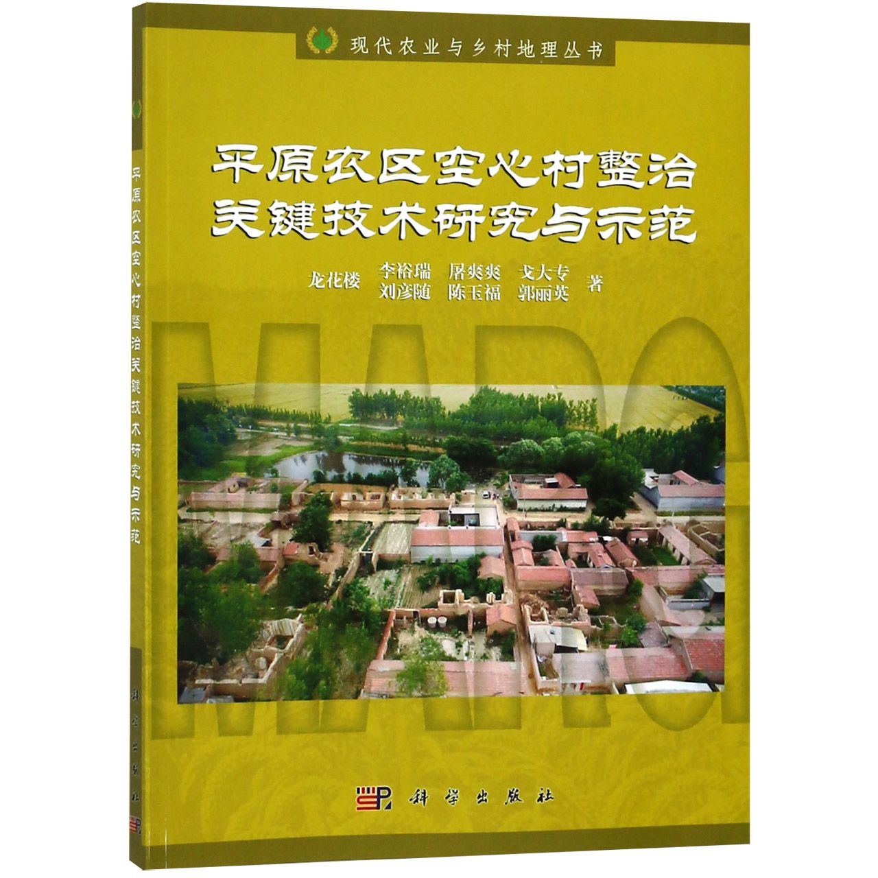 平原农区空心村整治关键技术研究与示范/现代农业与乡村地理丛书