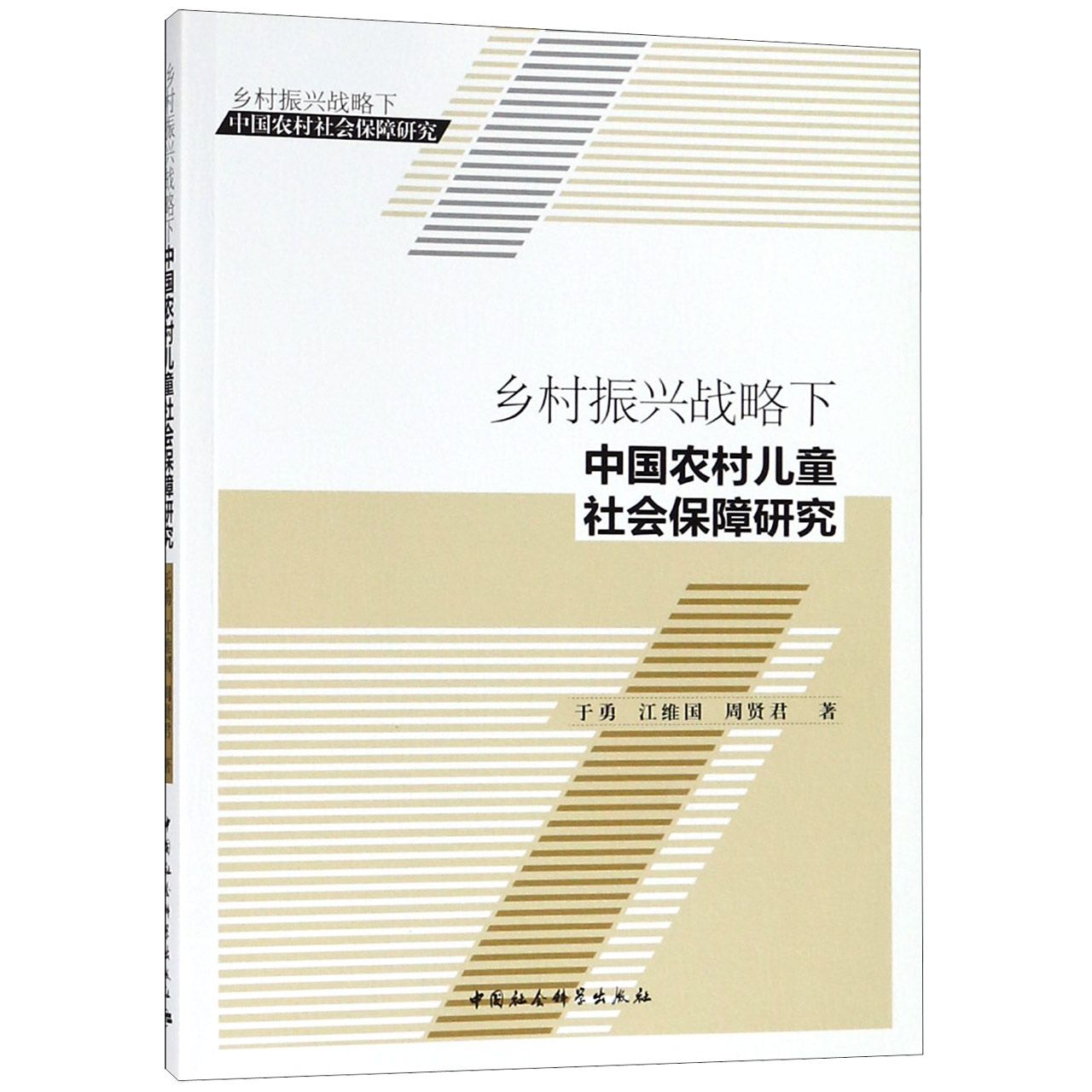 乡村振兴战略下中国农村儿童社会保障研究