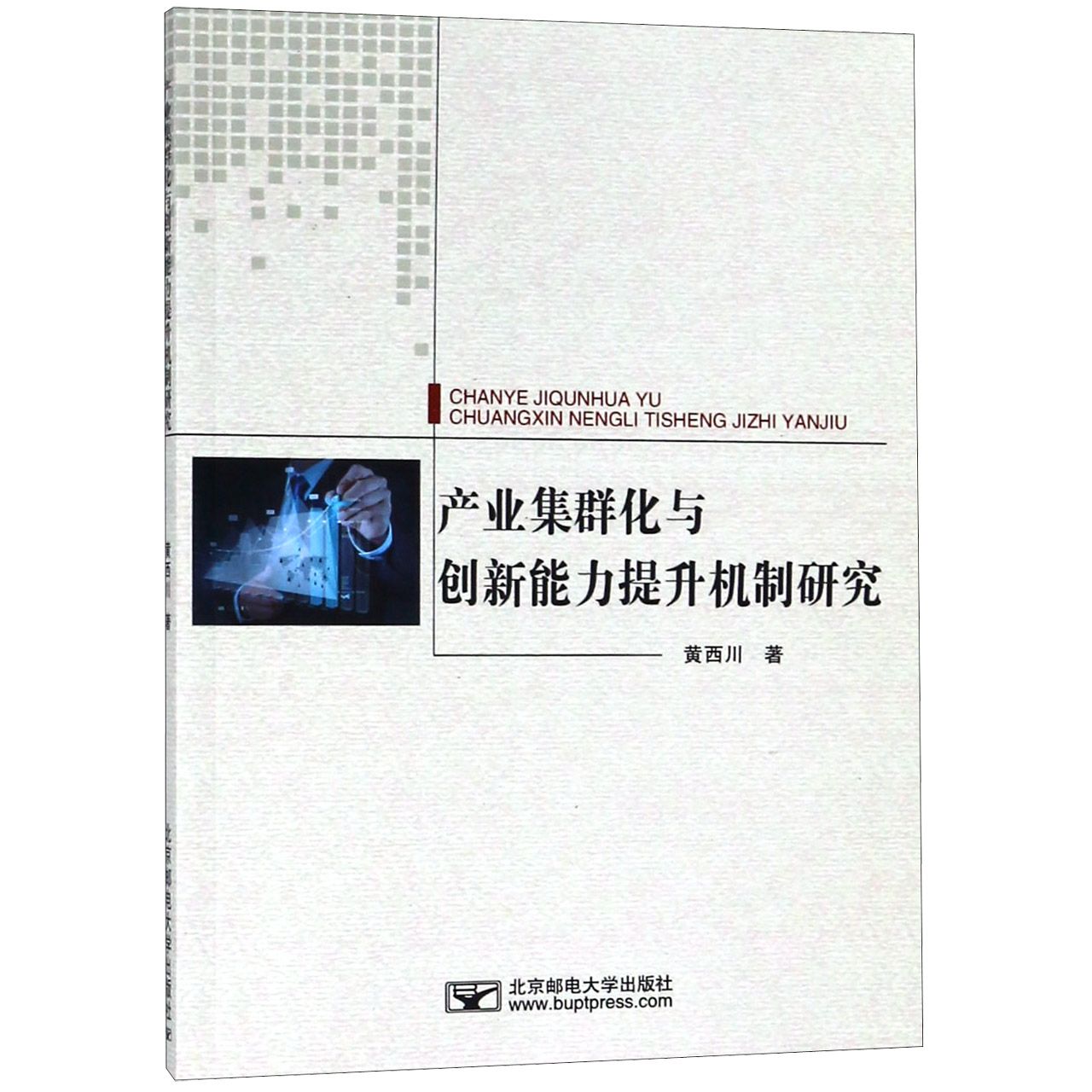 产业集群化与创新能力提升机制研究