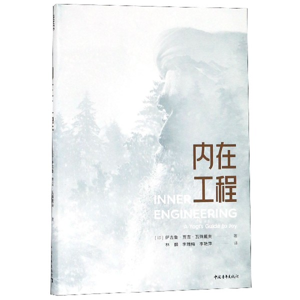 内在工程
