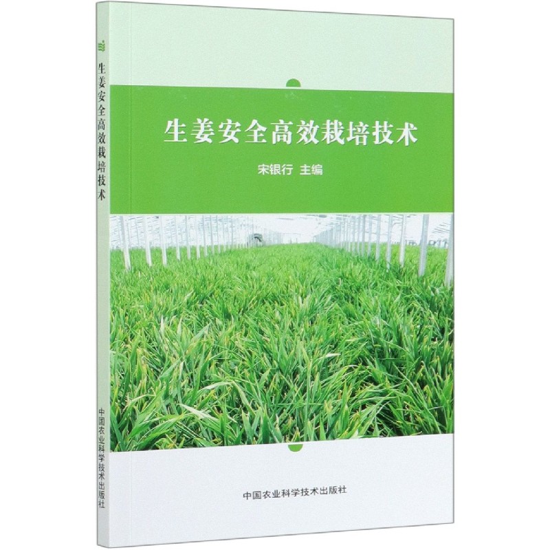 生姜安全高效栽培技术
