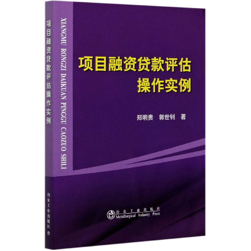 项目融资贷款评估操作实例